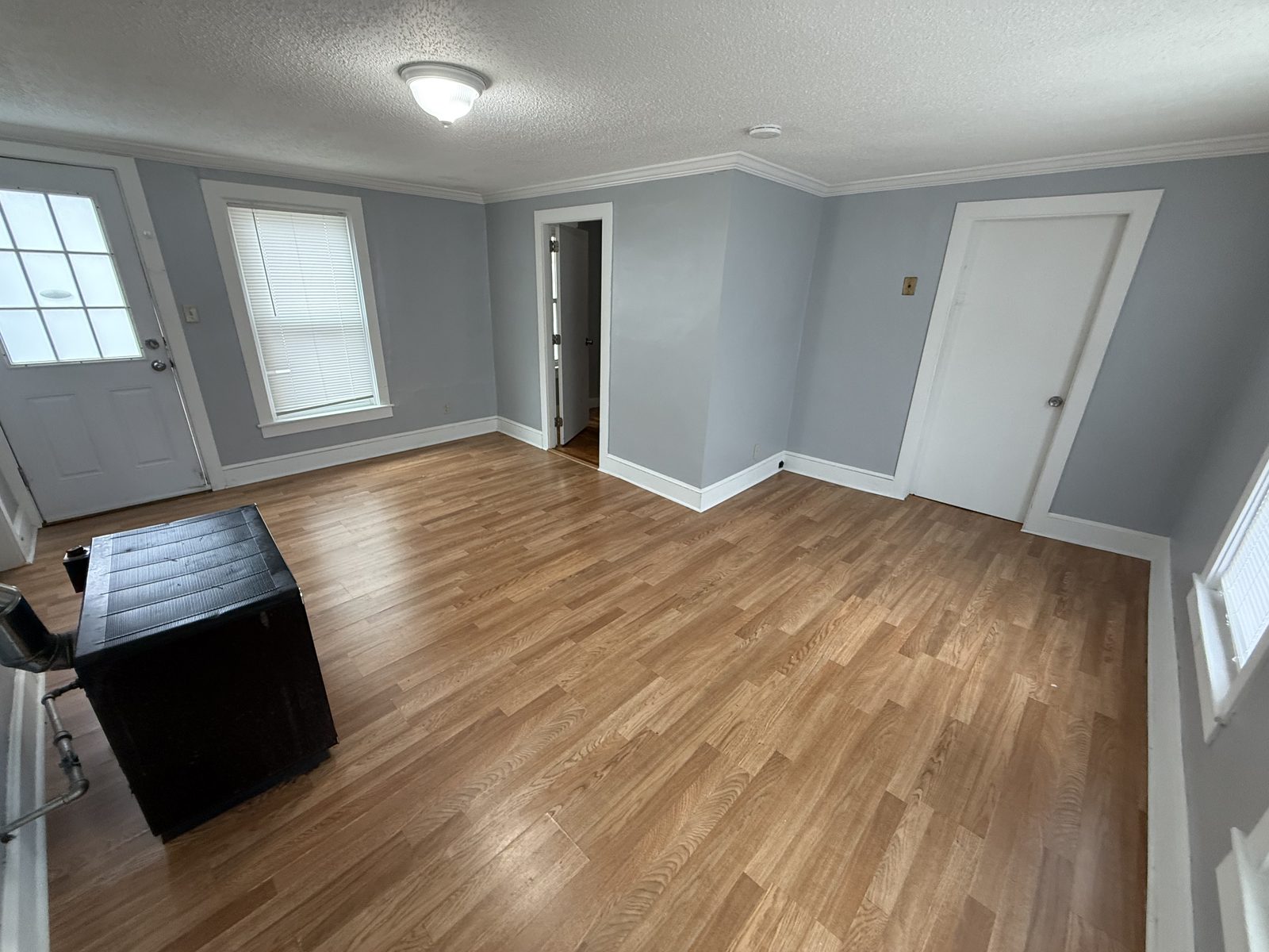 Front entry foyer with glass-paneled door and laminate floor in apartment 1N at 795 North Underwood Street Fall River MA