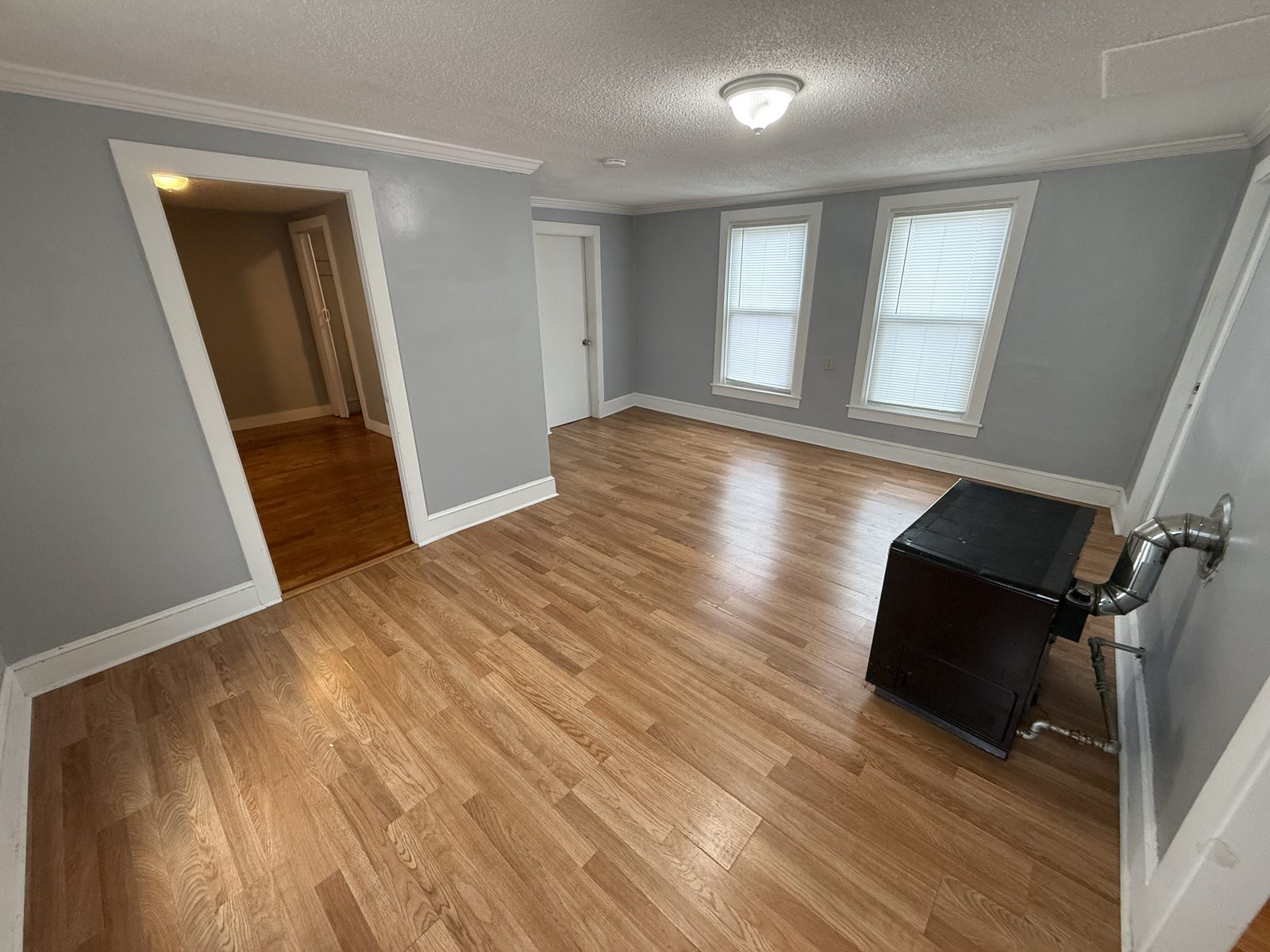 Living room side angle showing gas space heater, doorway to flex bedroom, and laminate floor in apartment 1N at 795 North Underwood Street Fall River MA