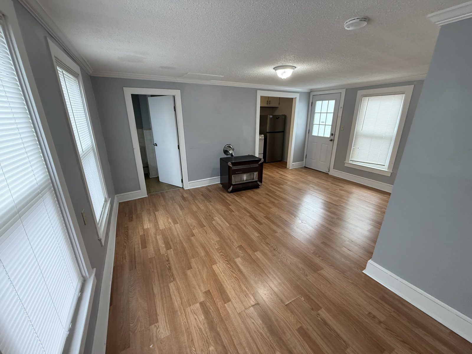 Living room back-entry view in apartment 1N at 795 North Underwood Street Fall River MA showing private back door, laminate floor, and access to kitchen and bathroom