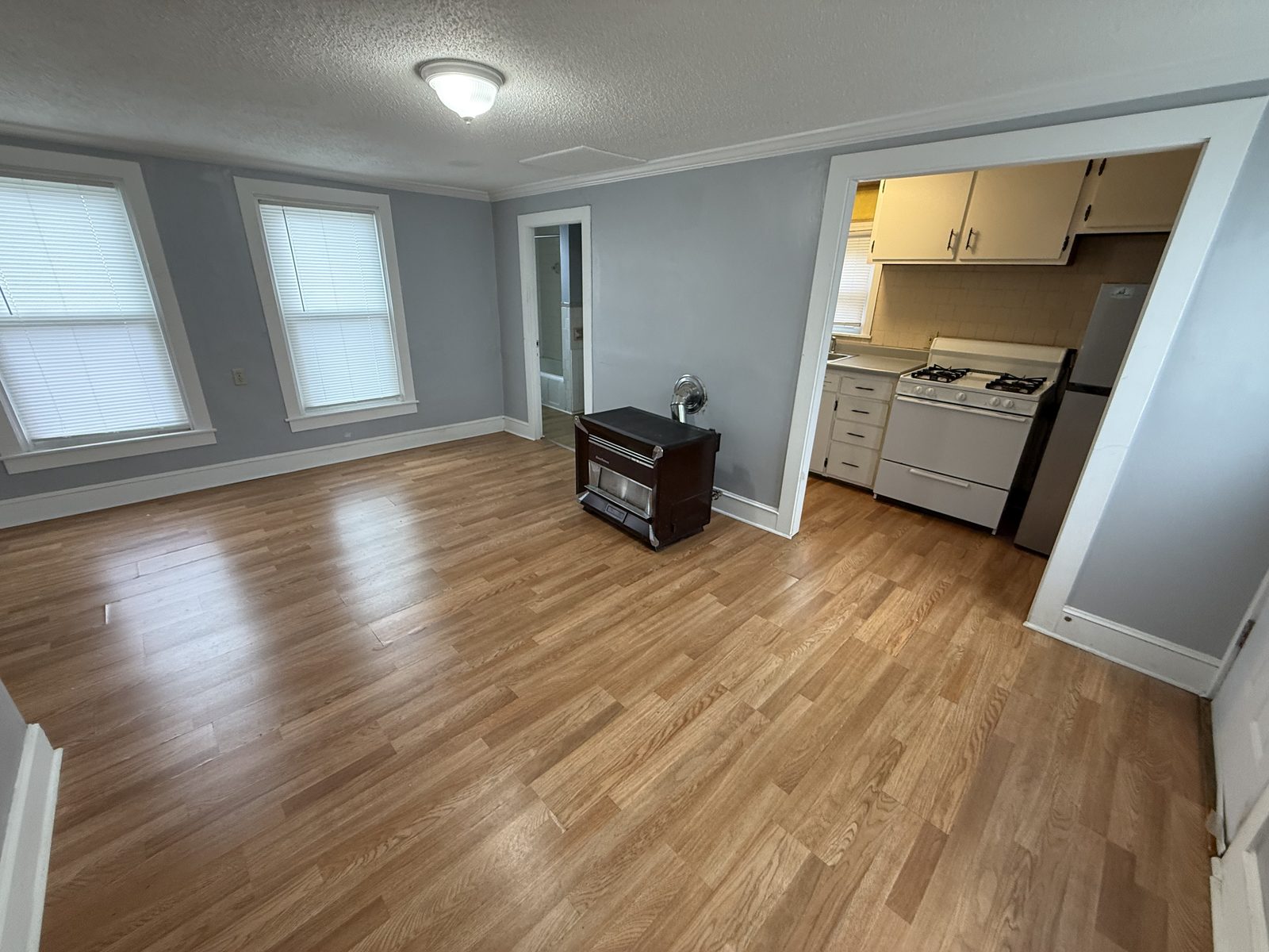 Living room in apartment 1N at 795 North Underwood Street Fall River MA with gas space heater, laminate wood-look flooring, and view into the kitchen